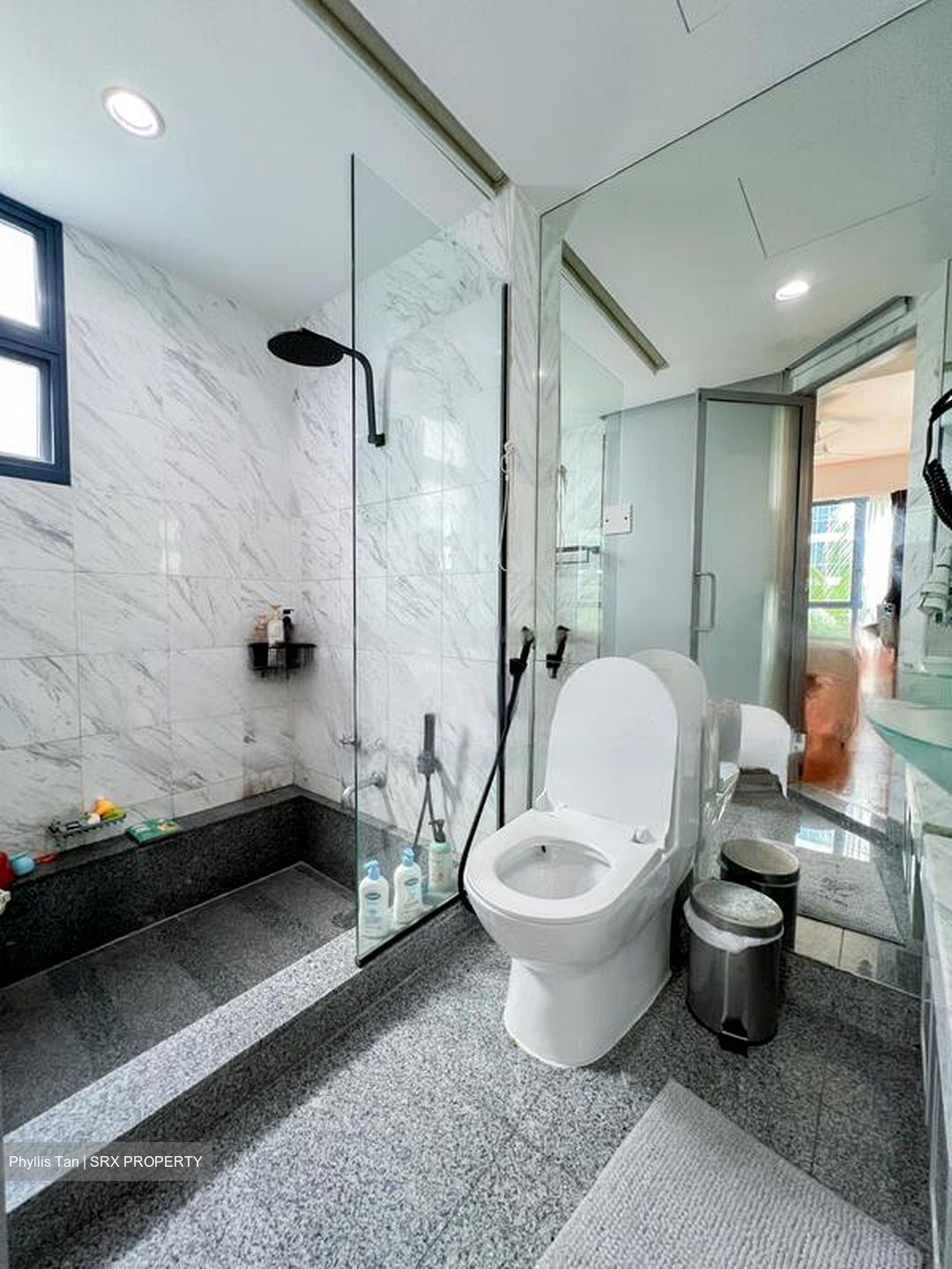 Water Place (D15), Condominium #470347431